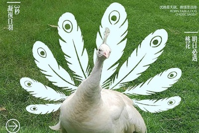 һ�M����Ԫ�غ����ʽ�`��